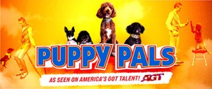 Puppy Pals Live