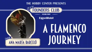 A Flamenco Journey
