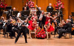 Salute to Vienna New Year’s Concert