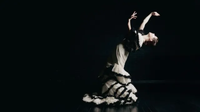 Olga Pericet's <i>Baile Sonoro</i>