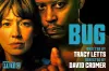 Bug