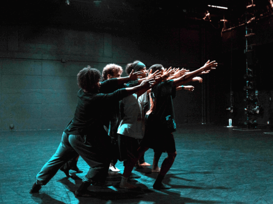 Photo by Rebecca Hurson 550x412