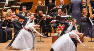 Salute to Vienna New Year’s Concert