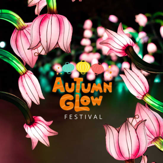 event logo 1795390 b85bd8