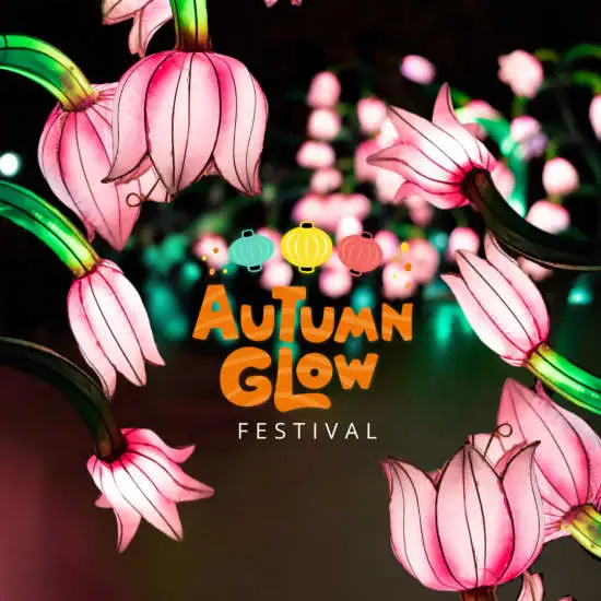 event logo 1796530 e68e39