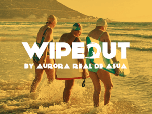 2024 Wipeout