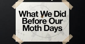 What We Did Before Our Moth Days