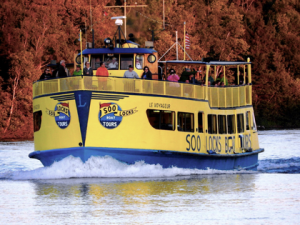 2025 Fall Sunset Color Tours