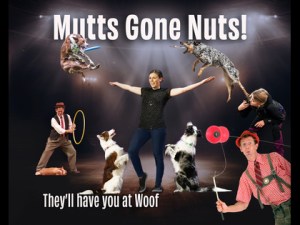 Mutts Gone Nuts Returns! – World Class Stunt Dogs in a Hilarious Variety Show