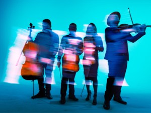 Vitamin String Quartet 2024