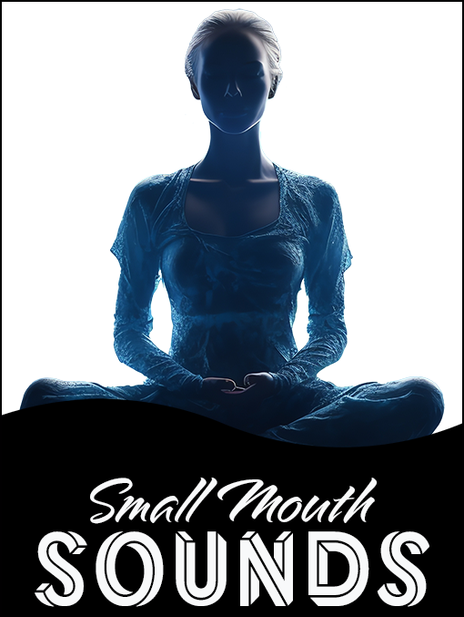 Event Logo: Maryland Ensemble Theatre 31 W Patrick Street Frederick MD 21701 Small Mouth Sounds