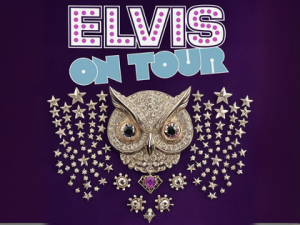 ELVIS ON TOUR