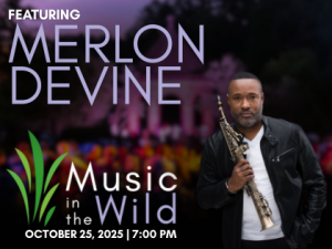 Music in the Wild 2025