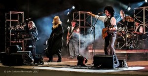 FLEETWOOD MAX: THE DEFINITIVE TRIBUTE