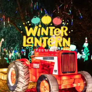 Winter Lantern Festival (Tysons, VA)