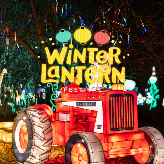 event logo 1809156 b8d5b7