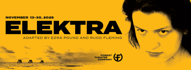 Event Logo: elektra logo