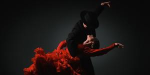 Flamenco Arts International