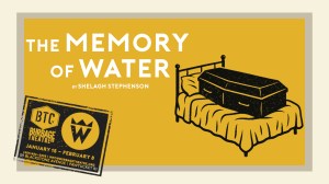 THE MEMORY OF WATER, by Shelagh Stephenson