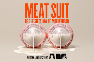 Meat Suit, or the Shitshow of Motherhood