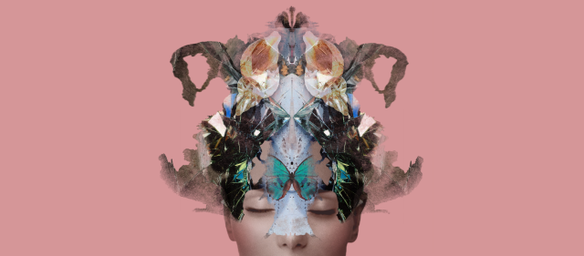 Event Logo: Fractured WebBanner