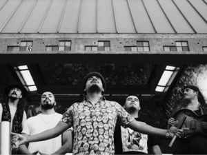 Z-2023 Los Mocochetes in Concert