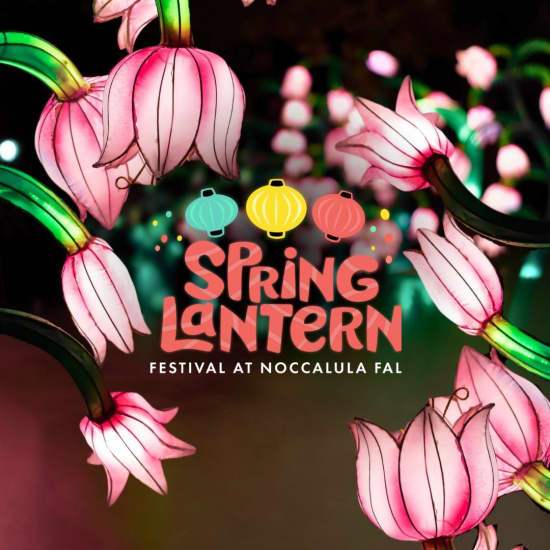 Spring Gold Sf Spring Lantern Festival on Gadsden: Get Tickets Now! | Theatermania