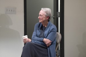 Interview: Kathleen Chalfant Is Everywhere These Days, and at 81, She’s Not Stopping