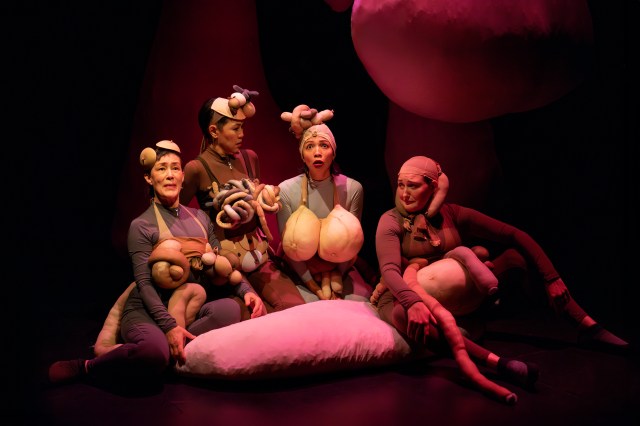 3 Marina Celender, Cindy Cheung, Maureen Sebastian, and Liz Wisan in MEAT SUIT Photo by Joan Marcus