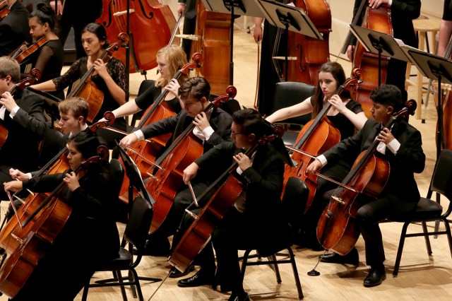 Event Logo: JM2 3573 061817 CEMALA Chamber Orchestra