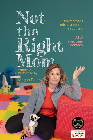 Event Logo: Not the RIght Mom POSTER
