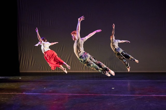 Event Logo: Mothers of War. Photo credit Andrew Fassbender DSC 7999 1