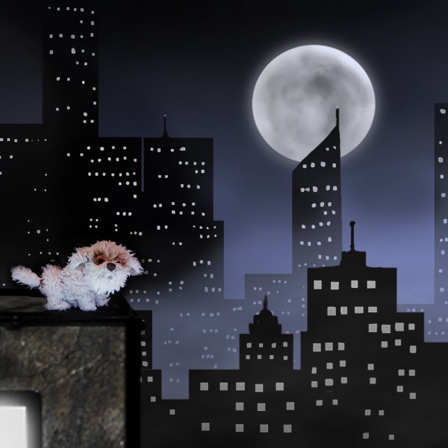 Event Logo: NEW OWNER SUPPORT IMAGE 2 SQUARE copy