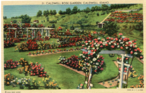 ArchWalks 2026 | June Tour Series: Rose Garden Ramble at Caldwell’s Luby Park