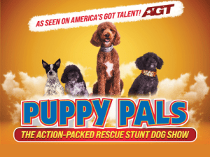 Puppy Pals Live