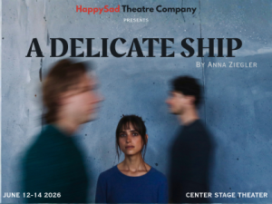 A Delicate Ship by Anna Ziegler