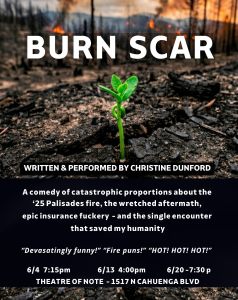 BURN SCAR