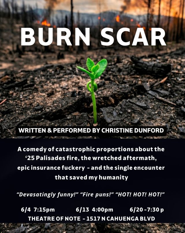 Event Logo: BURN SCAR IG POST