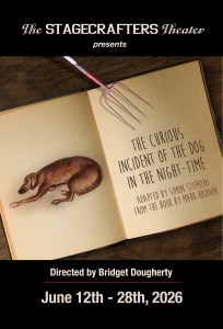 The Curious Incident of the Dog in the Night-Time