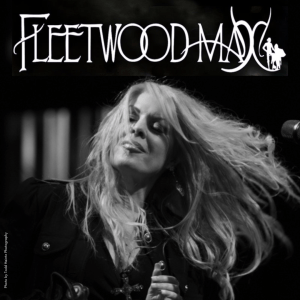Fleetwood Max