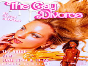 The Gay Divorce