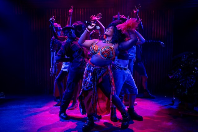 Olamide Asanpaola and the cast of Silverback Mountain Photo by Shawn Salley.jpg.jpg