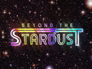 Beyond the Stardust
