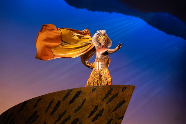 Mduduzi Madela as Simba in <i>The Lion King</i> on Broadway (© Matthew Murphy / Disney) Mduduzi Madela as Simba in <i>The Lion King</i> on Broadway (© Matthew Murphy / Disney)