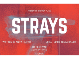 strays