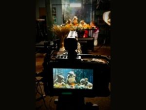 Workshop: Crafting a Basic Puppet Film