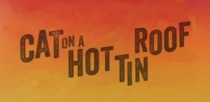 Cat on a Hot Tin Roof