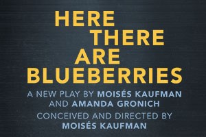 Here There Are Blueberries