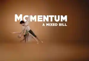Momentum: A Mixed Bill