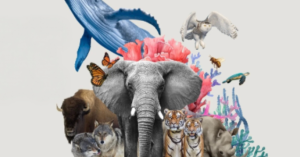 Carnival of Creatures: Past & Present